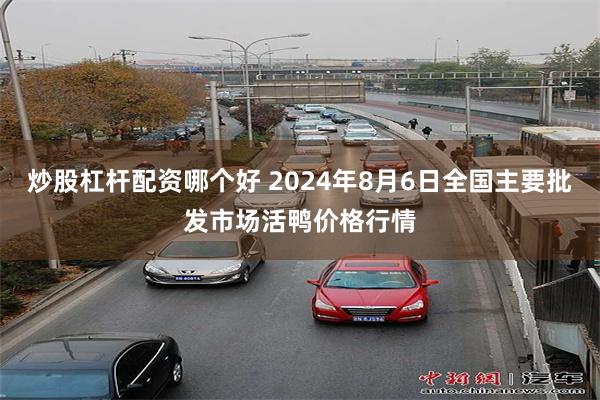 炒股杠杆配资哪个好 2024年8月6日全国主要批发市场活鸭价格行情