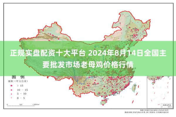 正规实盘配资十大平台 2024年8月14日全国主要批发市场老母鸡价格行情