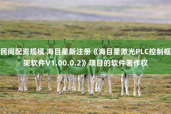 民间配资规模 海目星新注册《海目星激光PLC控制框架软件V1.00.0.2》项目的软件著作权