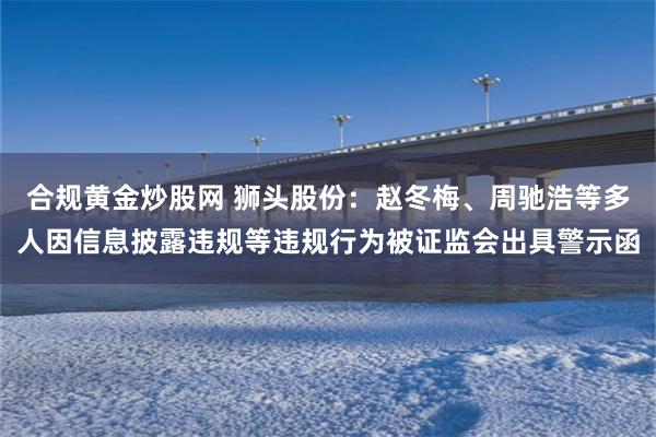 合规黄金炒股网 狮头股份：赵冬梅、周驰浩等多人因信息披露违规等违规行为被证监会出具警示函