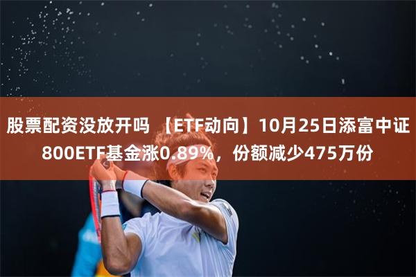 股票配资没放开吗 【ETF动向】10月25日添富中证800ETF基金涨0.89%，份额减少475万份