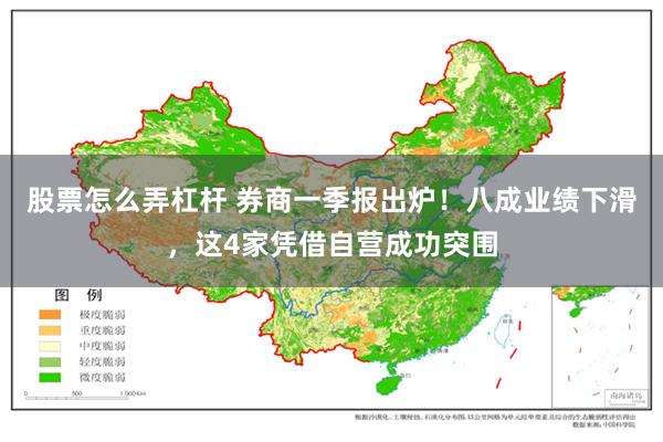 股票怎么弄杠杆 券商一季报出炉！八成业绩下滑，这4家凭借自营成功突围