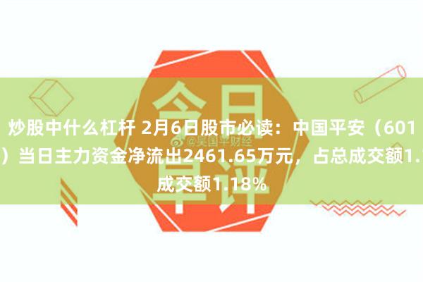 炒股中什么杠杆 2月6日股市必读：中国平安（601318）当日主力资金净流出2461.65万元，占总成交额1.18%