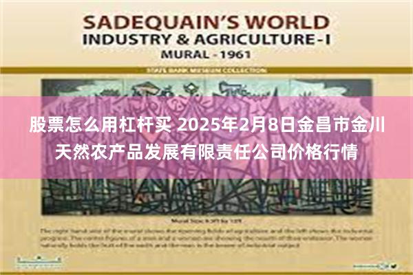 股票怎么用杠杆买 2025年2月8日金昌市金川天然农产品发展有限责任公司价格行情