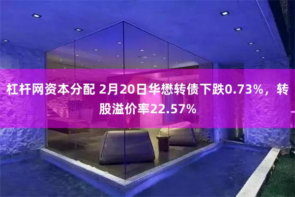 杠杆网资本分配 2月20日华懋转债下跌0.73%，转股溢价率22.57%