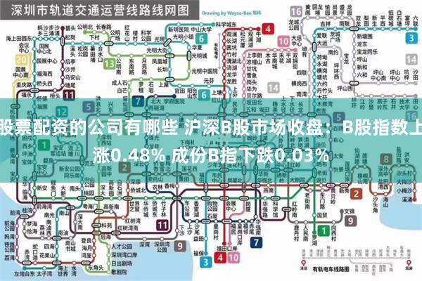 股票配资的公司有哪些 沪深B股市场收盘：B股指数上涨0.48% 成份B指下跌0.03%