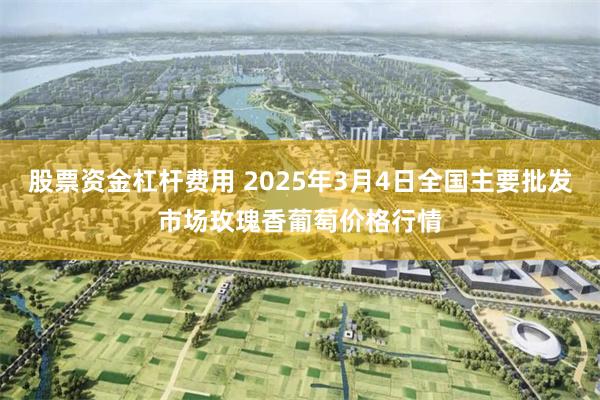 股票资金杠杆费用 2025年3月4日全国主要批发市场玫瑰香葡萄价格行情