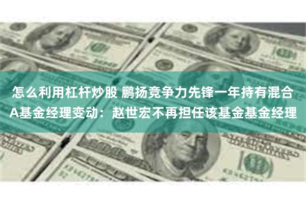 怎么利用杠杆炒股 鹏扬竞争力先锋一年持有混合A基金经理变动：赵世宏不再担任该基金基金经理